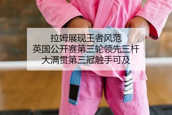 la-mu-zhan-xian-wang-zhe-feng-fan-ying-guo-gong-kai-sai-di-san-lun-ling-xian-san-gan-da-man-guan-di-san-guan-chu-shou-2-200.jpg